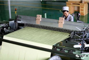 碳纤维布 预浸料 芳纶纤维编织布 热塑纤维编织布等产品特点