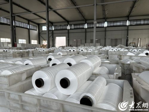 解码经纬交错间的坚守与创新——民企阳谷广信的小小编织袋织出大天地